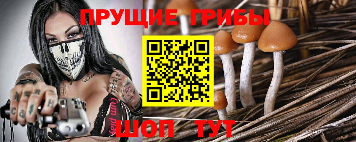 Галлюциногенные грибы прущие грибы  Вход с VPN  Коммунар 