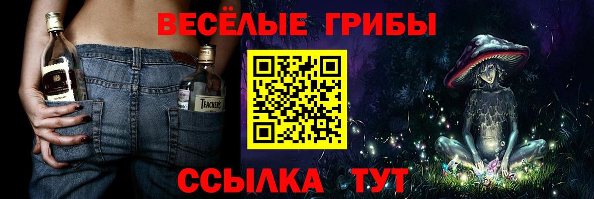 Галлюциногенные грибы Psilocybe Коммунар